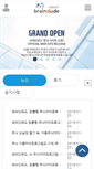 Mobile Screenshot of braindude.com