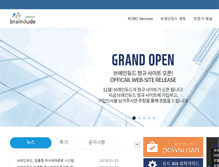 Tablet Screenshot of braindude.com